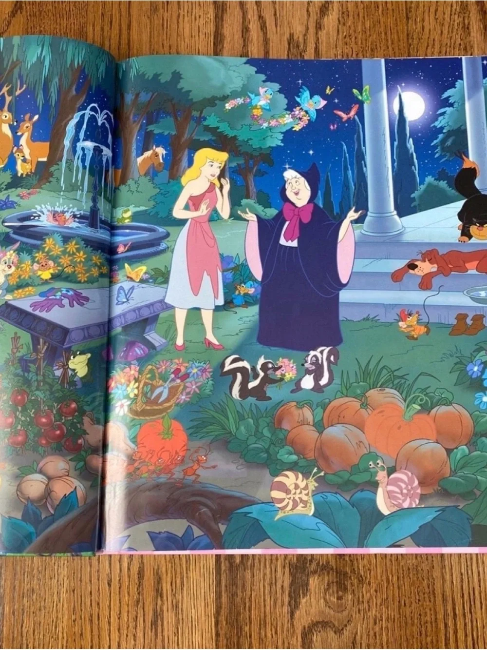 Disney Princess Colorful Illustrated Search Book - Blue Pink Purple